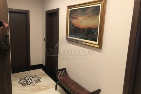 231e0569-3d82-44d8-9938-b44100f7892a.jpg