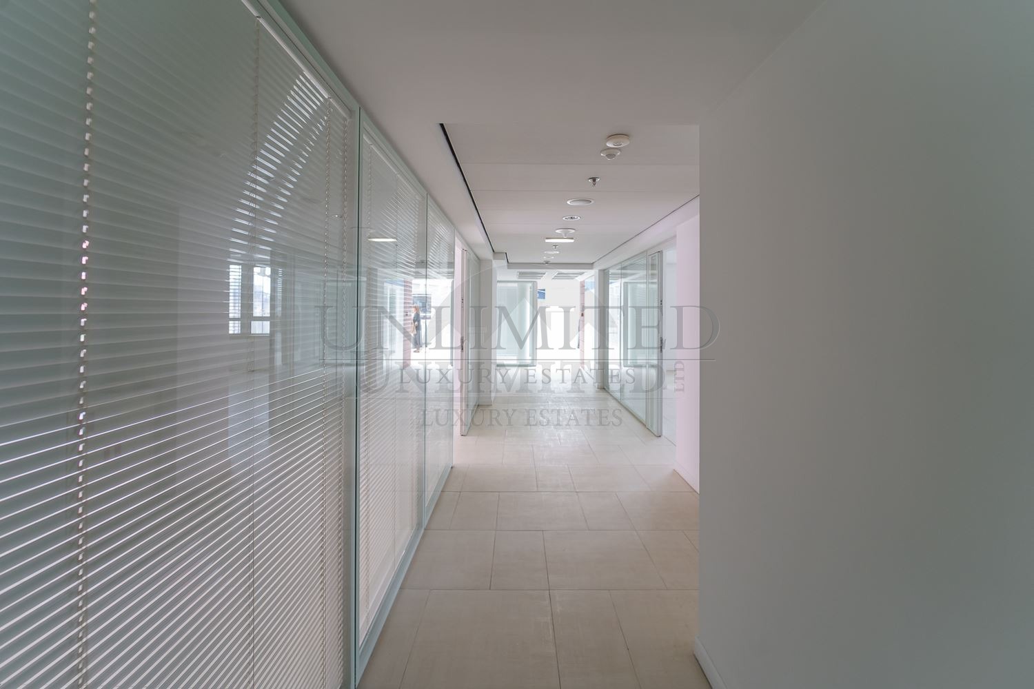 f8e4fdf0-437c-48bb-99f0-b2ba00838b97.jpg